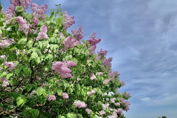 Прогноз погоди в Україні / Фото: Фейсбук синоптика Наталії Діденко