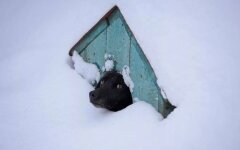 Прогноз погоды в Украине