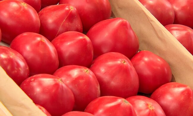 Ціни на помідори в Україні