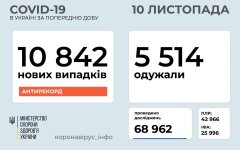 Статистика по коронавирусу на 10 ноября