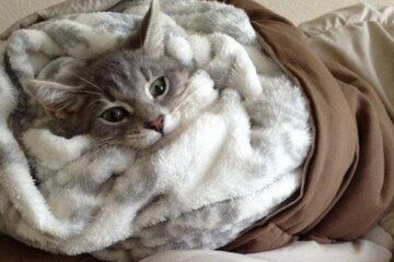 Прогноз погоди в Україні