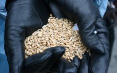 Продовольство в Україні / Фото: 24 канал