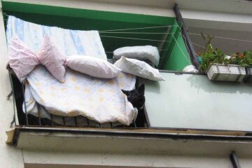 Людей призвали выносить подушки и одеяла на улицу: почему это важно