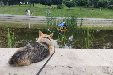 Прогноз погоди в Україні / Фото: Хвиля