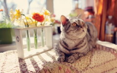 Прогноз погоды в Украине / Фото: Depositphotos