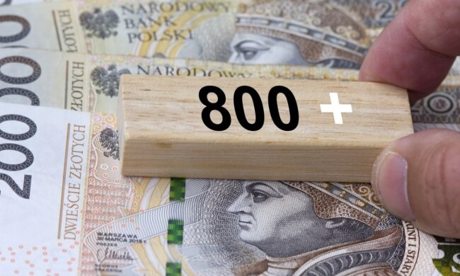 Виплати ZUS 800+