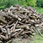 Ціни на дрова в Україні / Фото Getty Images