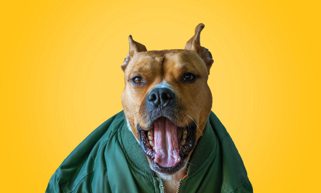 Прогноз погоди