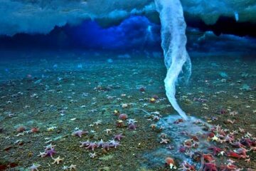 Жизнь на Земле могла возникнуть из-за «Сосулек смерти» на дне полярных океанов