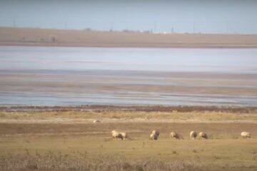 Анатолий Вассерман,Засуха в Крыму,нехватка пресной воды в Крыму,пресная вода из реки Кубань