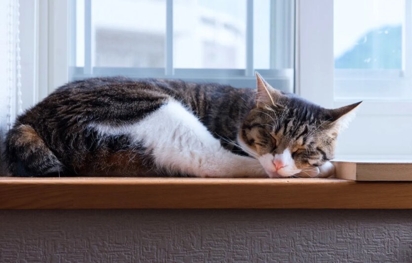 Прогноз погоди в Україні