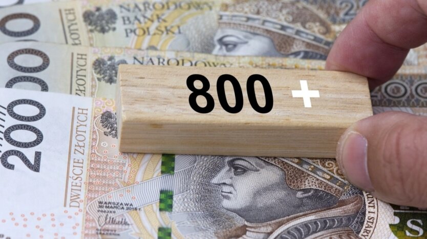 Виплати ZUS 800+