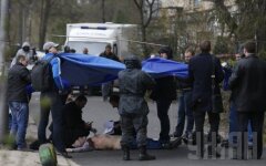 убийство бузины3