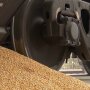 Запасы зерна в Украине, зернохранилища, оон