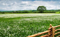 Прогноз погоды в Украине / Фото: Shutterstock