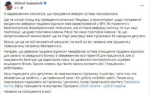 Михаил Саакашвили, Нацсовет реформ, Реформы Саакашвили