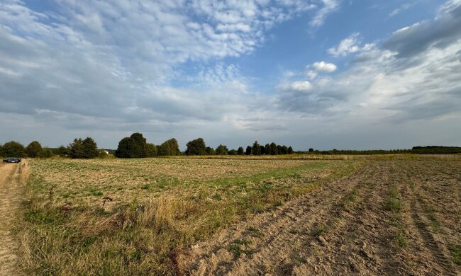 Огороды в Украине / Фото prometei.ua