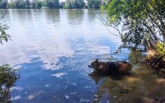 Прогноз погоды в Украине