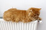 Отключение тепла / Фото: 24tv.ua