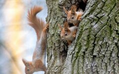 Прогноз погоды в Украине