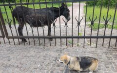 Прогноз погоды в Украине летом / Фото: Хвиля