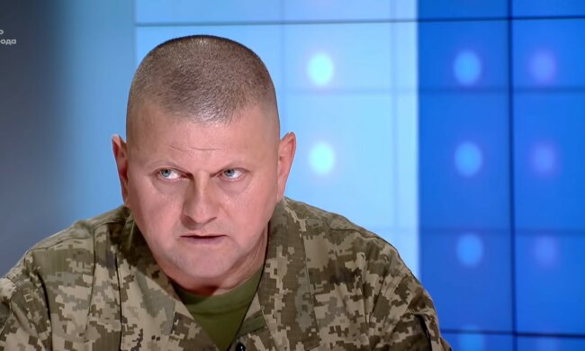 Валерий Залужный, вступление Украины в НАТО, готовность