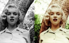 черно-белые фото в цветные