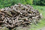 Ціни на дрова в Україні / Фото Getty Images