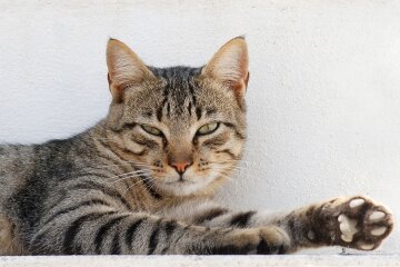 Прогноз погоди в Україні