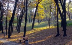 парк КПИ