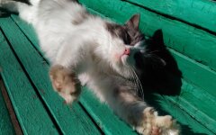 Прогноз погоди в Україні