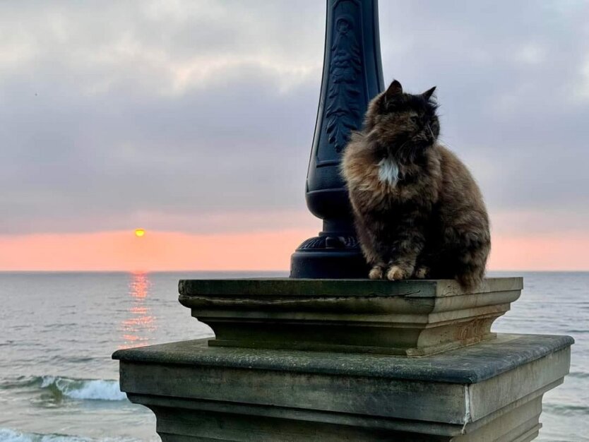 Прогноз погоды в Украине