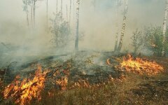 Погода в украине