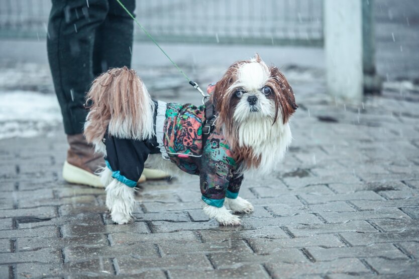 Прогноз погоды