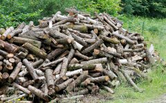 Ціни на дрова в Україні / Фото Getty Images