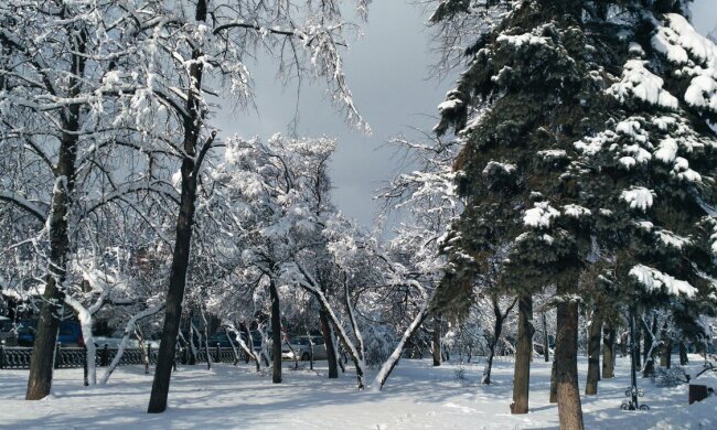 Зима в Украине, погода зимой