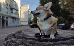 Прогноз погоди