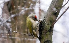 Прогноз погоды в Украине / Фото: УНИАН