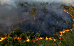 Амазонский лес_пожар