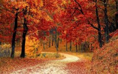 Прогноз погоди в Україні