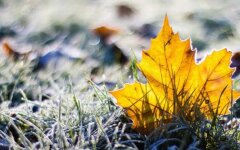 Осінь в Україні