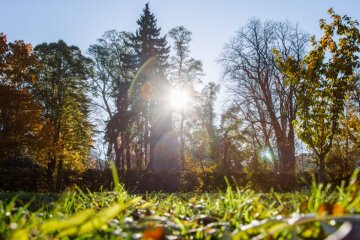 Прогноз погоды в Украине / Фото: Виталий Носач, РБК-Украина