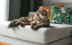 Прогноз погоди в Україні / Фото: Unsplash