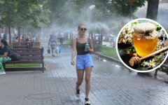 Погода на Маковея, погода на медовый спас, погода в украине