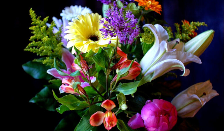 цветы, букет цветов