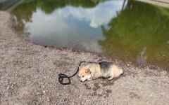Прогноз погоды в Украине / Фото: Хвиля
