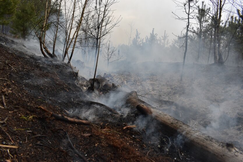 Тушение пожаров в Житомирской области, ГСЧС