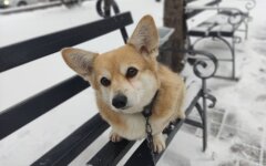 Прогноз погоди в Україні