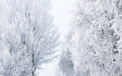 sneg-holod-moroz-sneg-moroz-holod