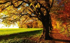 Прогноз погоди в Україні / Фото: Pixabay